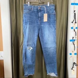 Madewell Blue Skinny Jeans